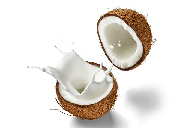 Coconut Processing Industry